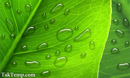 realistic_dew_08 آموزش ساخت شبنم با فتوشاپ 8