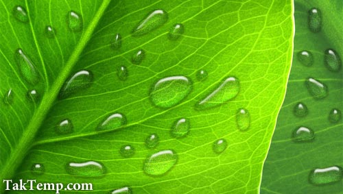 realistic_dew_17full آموزش ساخت شبنم با فتوشاپ 17
