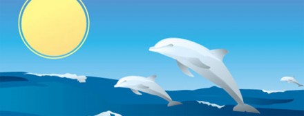 Happy-Dolphins