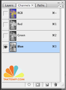 Screen-shot-2010-10-08-at-9.26.56-PM